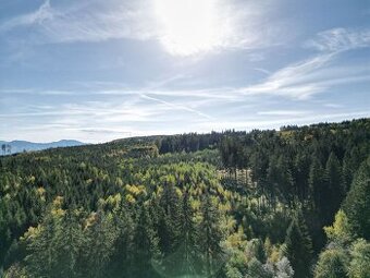 EXKLUZÍVNE: Pozemok na výstavbu rekreačných chát, 8668 m2, S