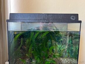 70l akvarium