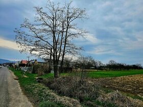 Pozemok Davidov, Vranov nad Topľou