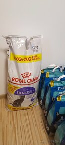 Predám krmivo-Royal Canin pre kastr. mačky12kg,toalety,atd