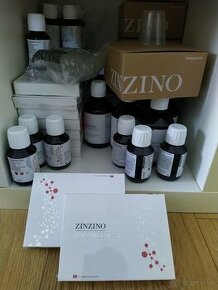 Zinzino balance test