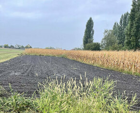 ZNÍŽENÁ CENA Stavebný pozemok o rozlohe 557 m2 v Holiciach - 1