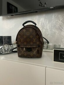 Louis Vuitton Palm springs mini