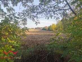 Predaj pozemku na bývanie, Veľlé Dvorníky, okres Dunajská St