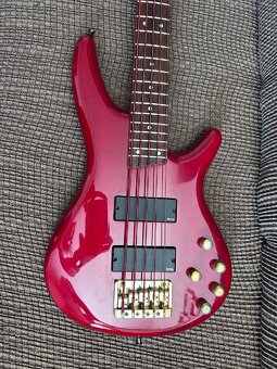 Ibanez SDGR405