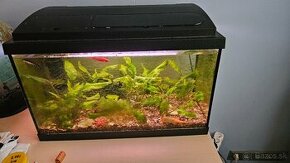 Predam akvarium 70 litrove