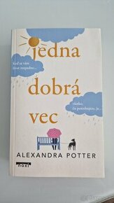 Alexandra Potter - Jedna dobrá vec