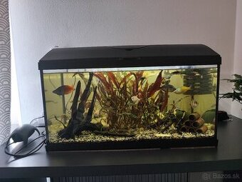 Akvarium 54 l...