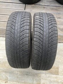 ____ 205/60 R17 zimne Bridgestone