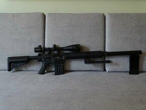 SR25 A&K DMR