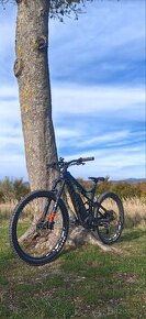 E-bike Canyon Spectral :ON L

