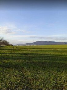 Predaj parcely Nitra, lokalita Chrenová - Selenec