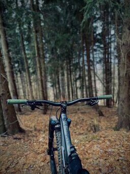 Specialized status 160