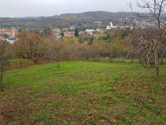 Prenajmem záhradu s krásnym výhľadom vo Svätom Jure - 1