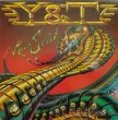 CD Y & T