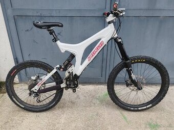 Downhil Specialized - 1