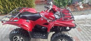 Yamaha grizzly 700 - 1