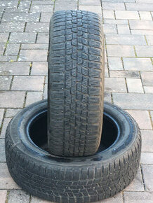 205/55 r16 zimne