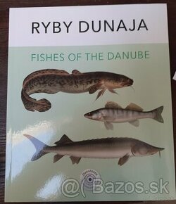 Ryby Dunaja - 1