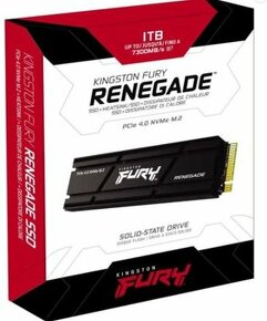 M.2 SSD, Kingston FURY Renegade 1TB Heatsink