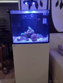 RedSea Reefer 170