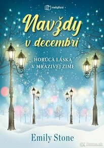 Navždy v decembri - Emily Stone