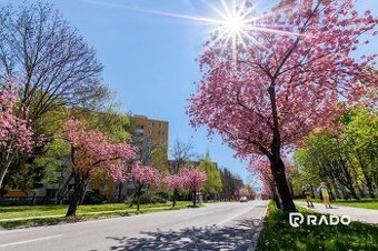 RADO I PREDANÉ 2i byt na najkrajšej ulici v Trenčíne I Sobl