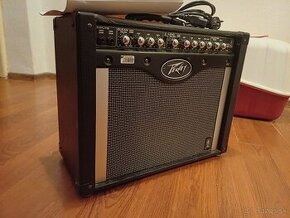 Peavey envoy 110