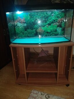 Predam akvarium  80× 30 oble + stolik - 1