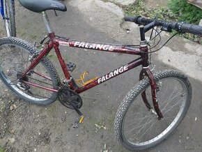 Bicykel falange