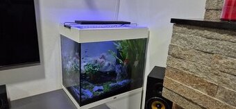 Akvarium juwel lido 120