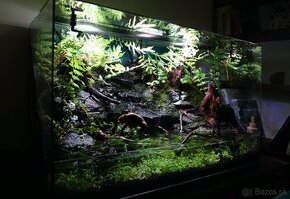 Paludarium - Vivárium -Terarium