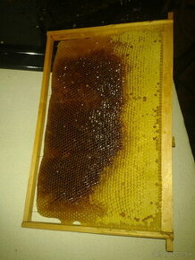 Včelí med