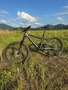 Specialized Enduro Comp - 1