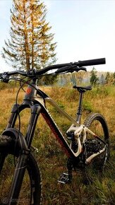 Mondraker Superfoxy Carbon R