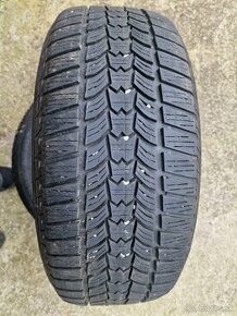 225/55 r17 sava eskimo hp2 - 1