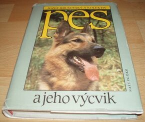 Pes a jeho výcvik