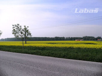 Pozemky na predaj, Dobrohošť - Žitný ostrov