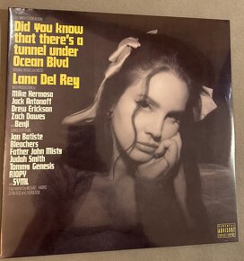 Na predaj vinyl (LP) LANA DEL REY