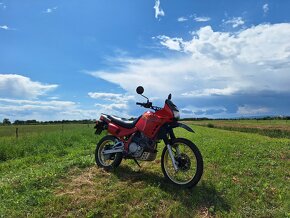 Honda nx650