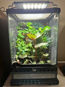 Terarium