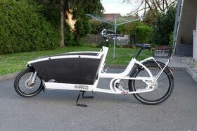 Cargo bike Urban Arrow Family