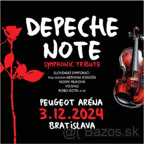 Predám 1 lístok na koncert Depeche Note BA