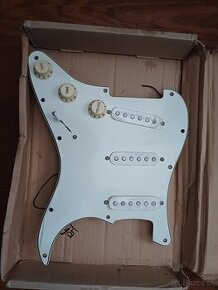 Komplet pickguard - 1