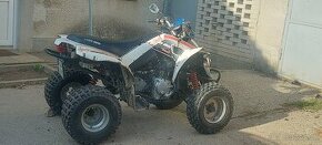 Can-am ds 250