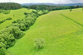 Predaj Rekreačného Pozemku 5320 m2 v Obci Peklina