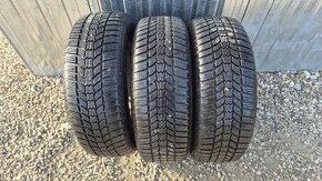 Zimné SAVA 205/60R16