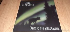 metal Lp - VITAL RENAINS - Into Cold Darkness