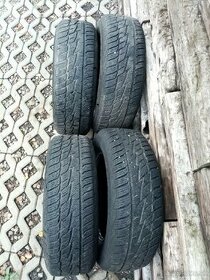 Zimna sada 195/65 R15 91T