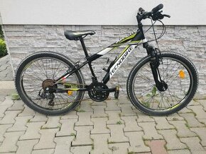 Detský horský bicykel TECNOBIKE - SORRENTO 24